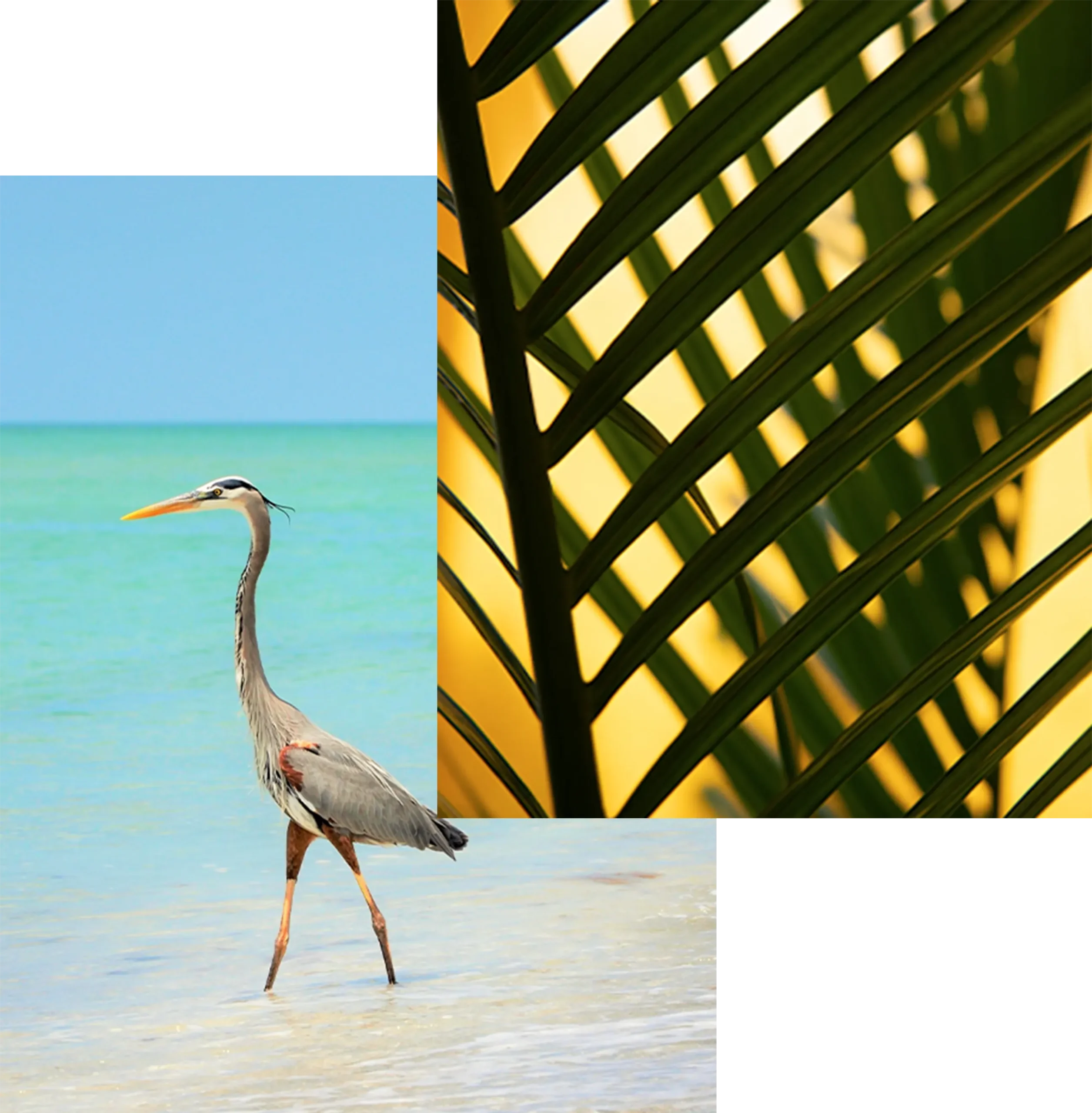 hotel-kaan-holbox-hotel-boutique-1